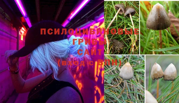 2c-b Абдулино